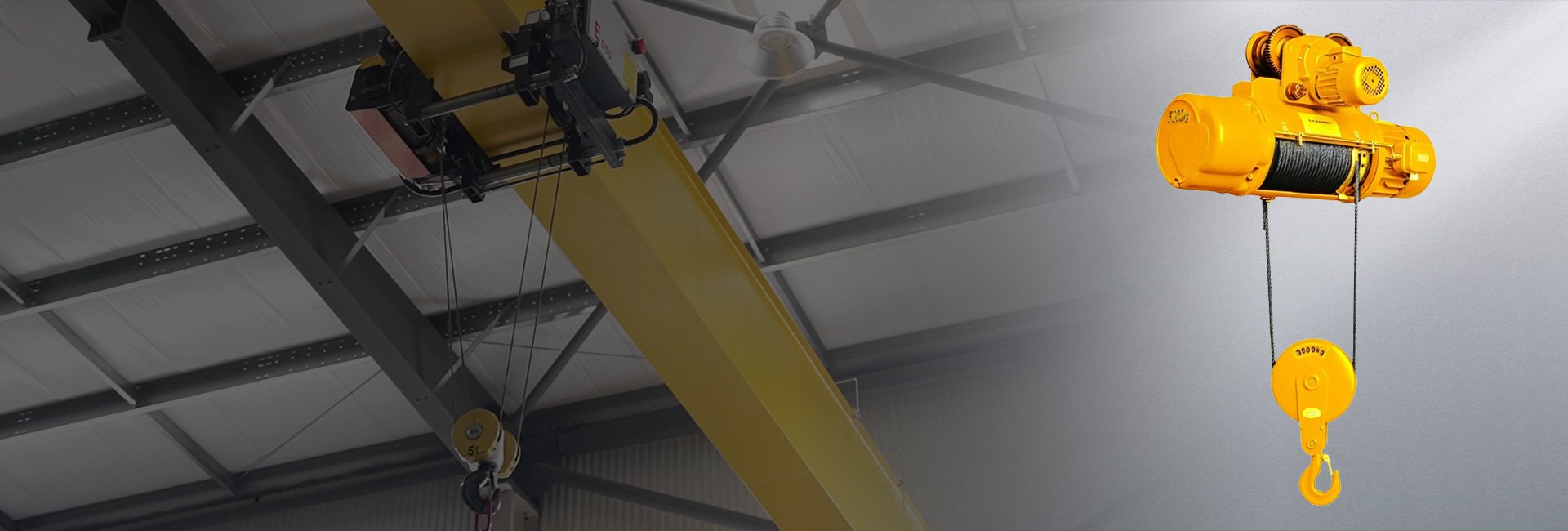 3 Ton Crane Hoist